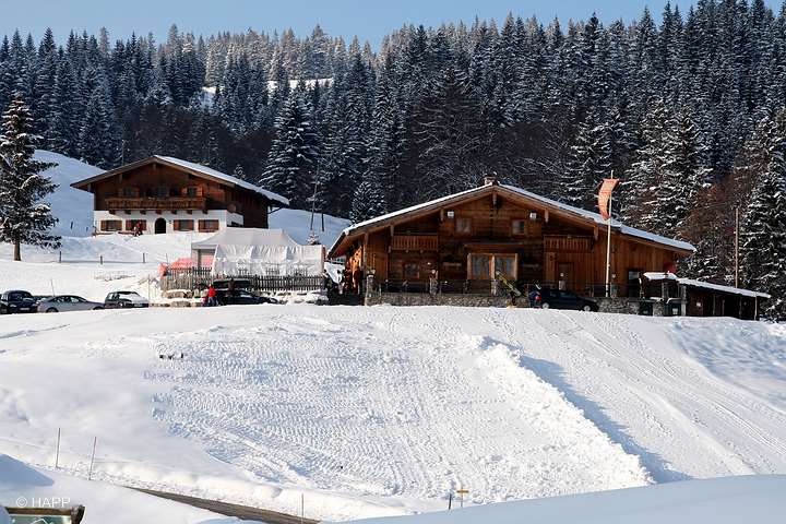Postalm2010_491