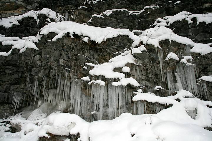 Postalm2010_502