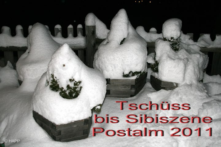 Postalm2010_505